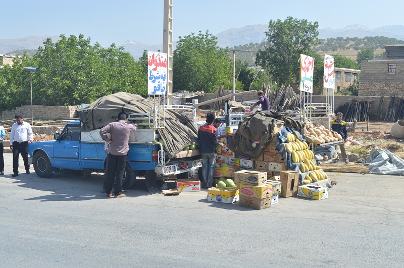 جمع آوری وانت بارهای میوه فروش در ورودی شهر یاسوج